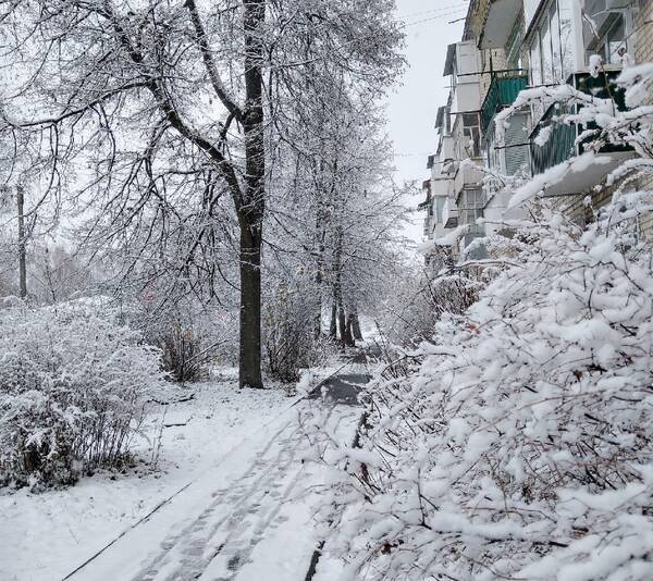 снег карачев