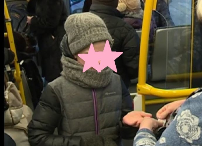 В брянской области волки загрызли двух пассажиров авто