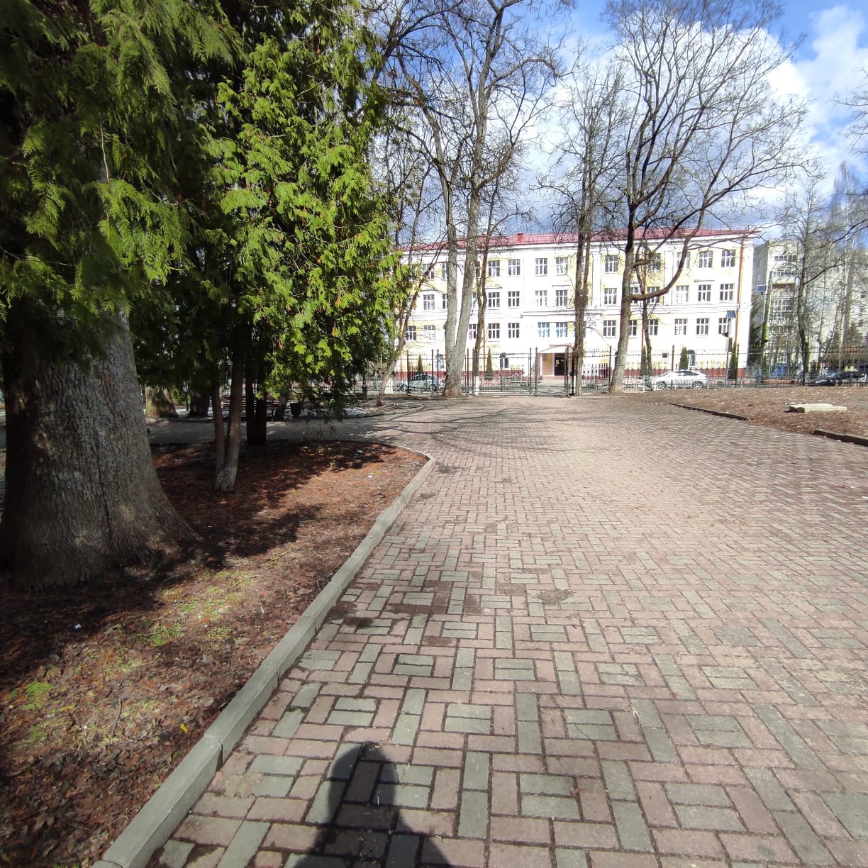 школа 4 брянск парк Толстого