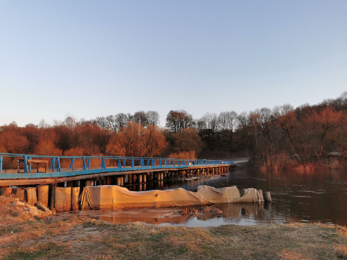 Мост через Десну в Сельцо Брянской области