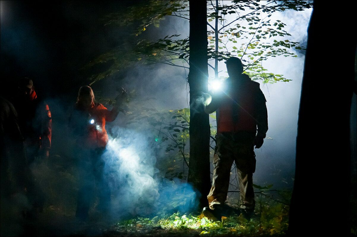 Что опасно человеку в лесу. Человек с фонарем в лесу. Человек потерялся в лесу.