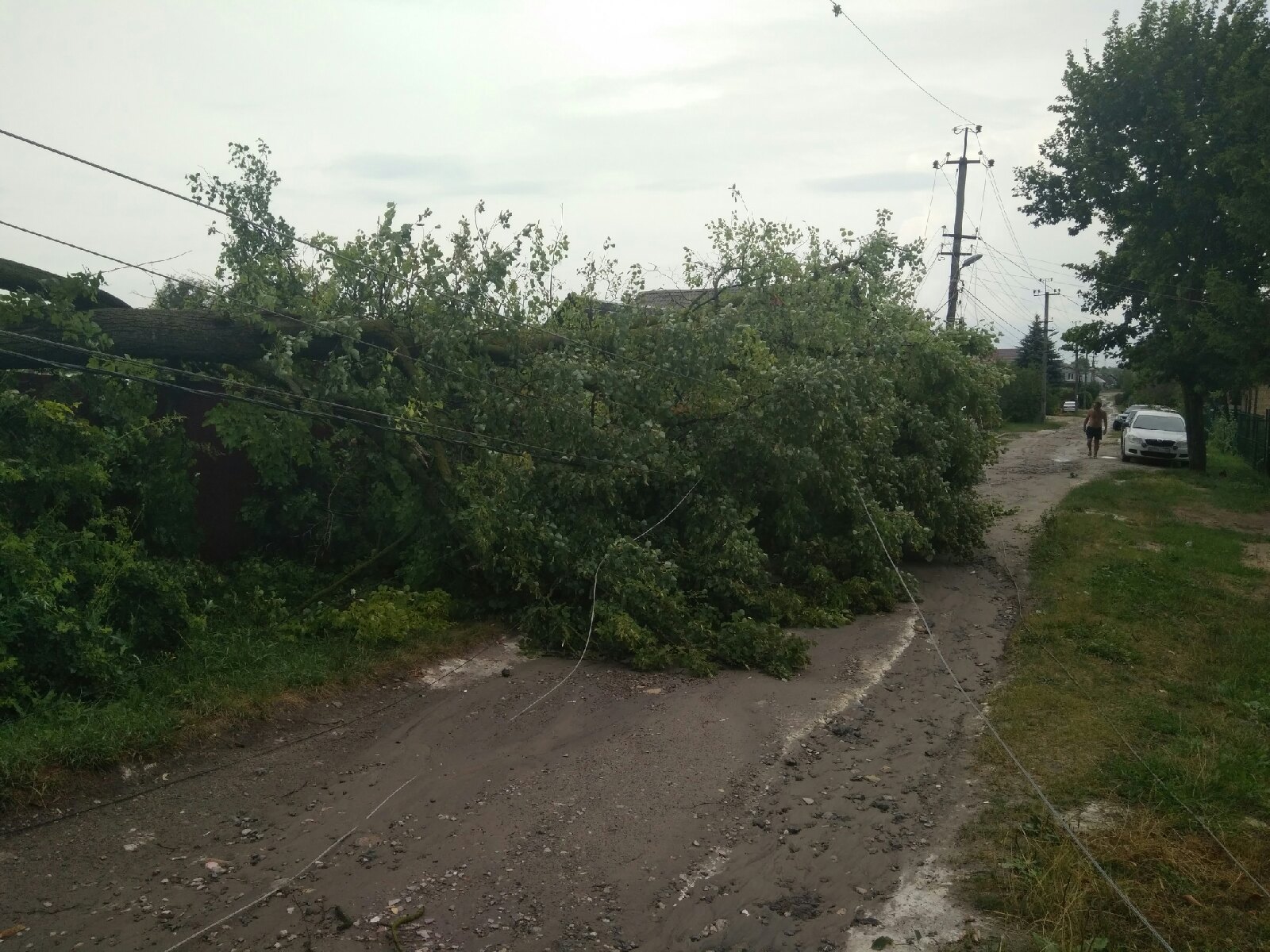 Село Чайковичи. Чайковичи Брянск. Гроза района. Брянске деревня Дубрава.