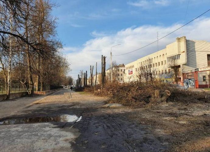 В Бежицком районе Брянска обчекрыжили и захламили красивую аллею