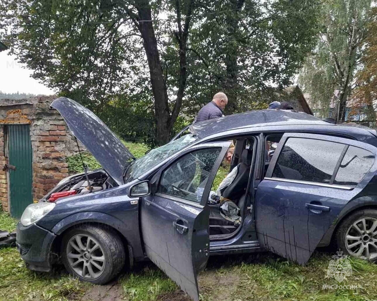 Под Почепом в Сетолово водитель отвлекся на каприз ребенка и врезался с  семьей в дерево - Брянский ворчун