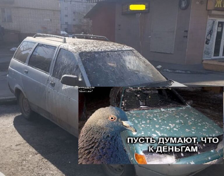 Автомобильный хоррор "Птицы" не Хичкока заметили в Брянске