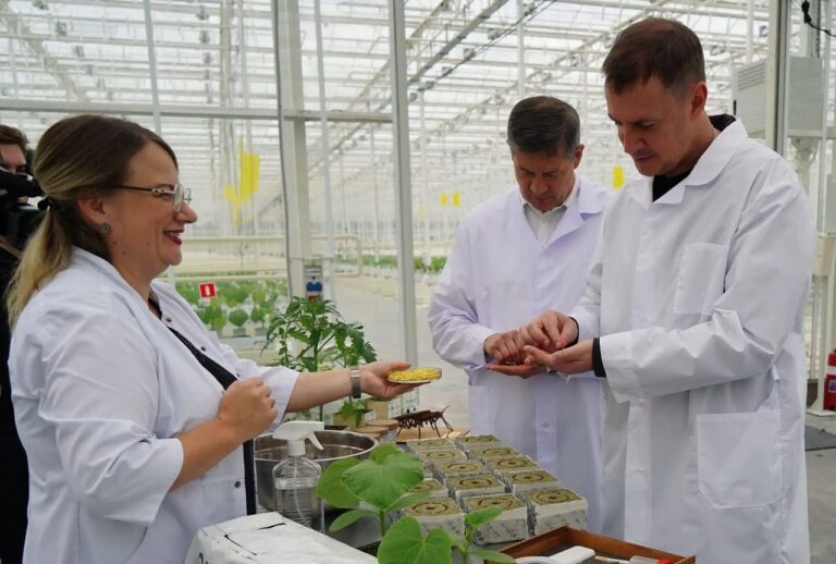 Патрушев-младший пересчитал семена на малой родине бабушки